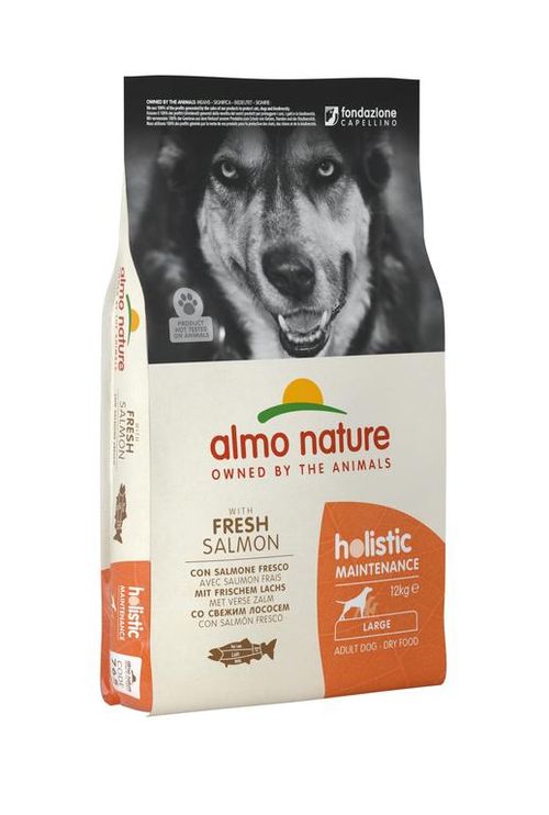 Almo nature holistic cane adult large con salmone e riso