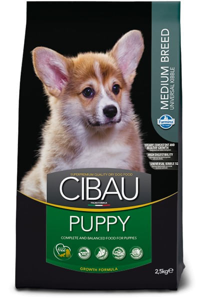 Cibau puppy medium