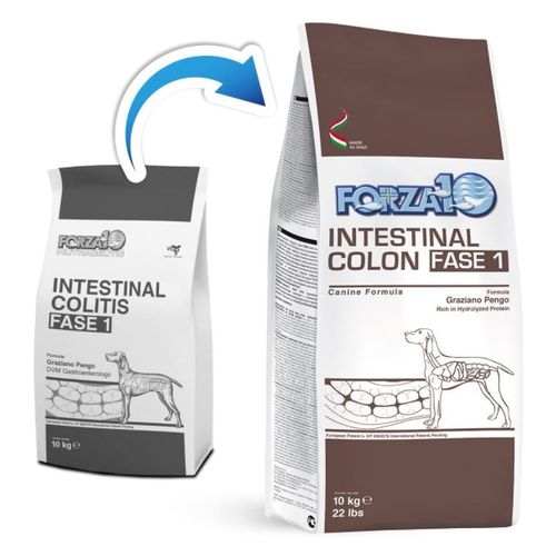 Forza 10 cane intestinal colon Fase-1