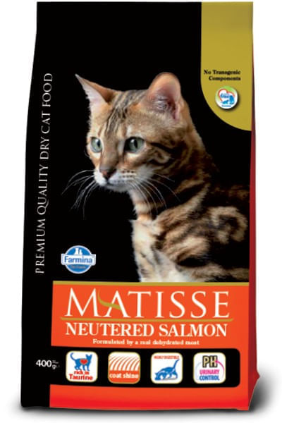 Matisse neutered salmone