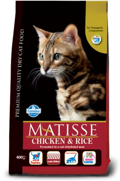 Matisse pollo e riso