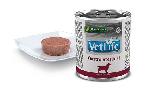 Farmina vet life cane gastrointestinal