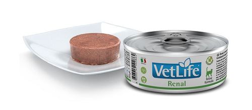 Farmina vet life gatto renal
