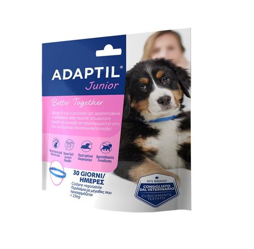 Adaptil junior collare