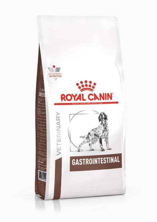 Royal canin Gastrointestinal cane