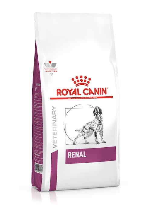 Royal canin renal cane