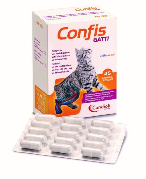 Candioli confis gatti 45 capsule