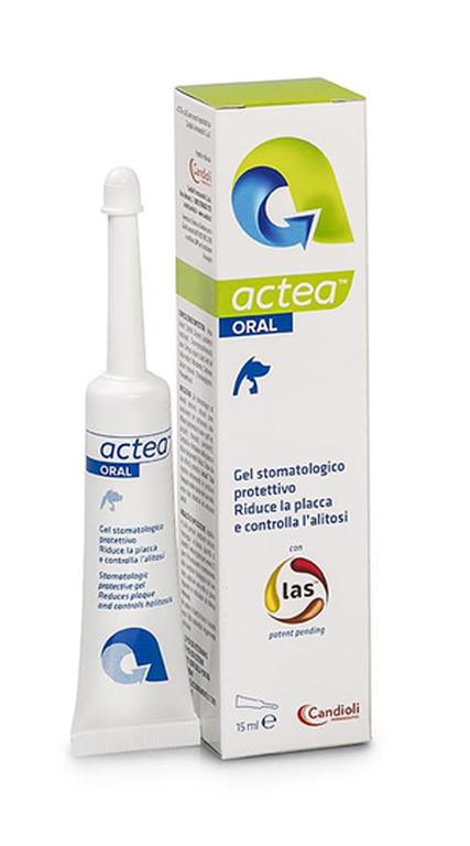 Candioli actea oral gel stomatologico 15 ml