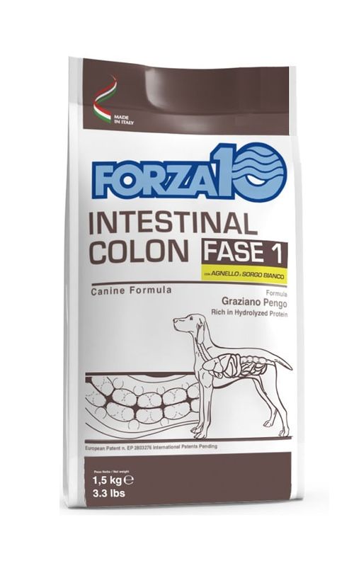 Forza 10 cane intestinal colon Fase 1 agnello e sorgo bianco