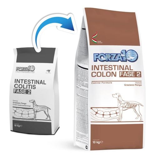 Forza 10 cane intestinal colon Fase-2