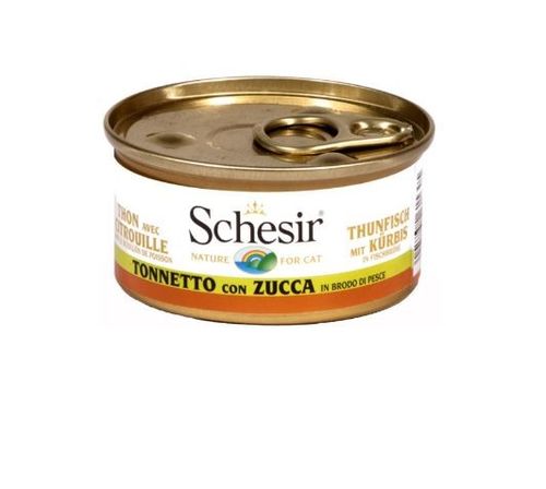 Schesir gatto tonnetto con zucca in brodo di pesce