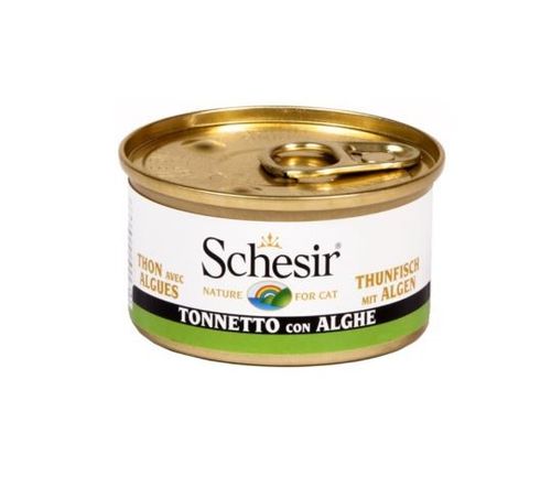 Schesir gatto tonnetto con alghe