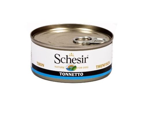 Schesir cane tonnetto
