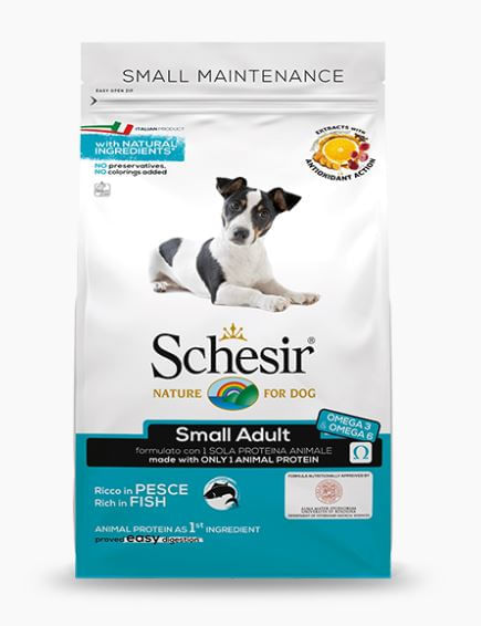 Schesir cane Small Adult Mantenimento ricco in pesce