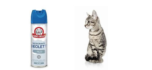 Bayer deodorante deolett al talco spray 200 ml sano & bello