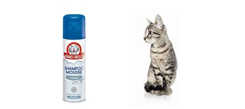 Bayer Shampoo Mousse al Talco per Gatti 200 ml sano & bello