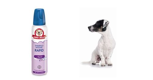 Bayer shampoo rapid al talco 300 ml