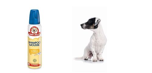 Bayer Shampoo Mousse Pappa Reale per Cuccioli 300 ml sano & bello