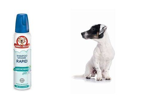 Bayer Shampoo Mousse Rapid Muschio Bianco 300 ml sano & bello