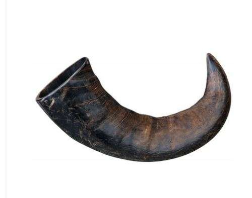 Trixie corno di bufalo grande