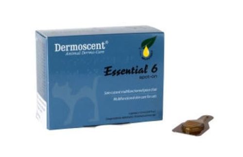 Dermoscent essential 6 spot-on gatto