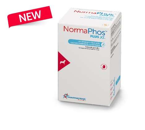 Pharmacross normaphos plus xl 90 gr