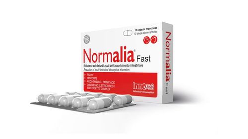Innovet normalia fast 10 capsule