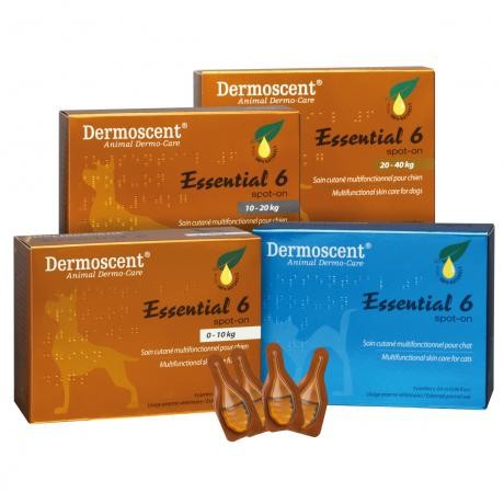 Dermoscent essential 6 spot-on cane 10-20 kg