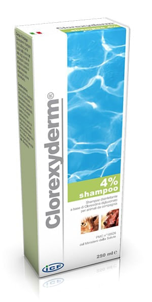 Icf clorexyderm shampoo 4% 250 ml