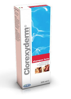 Icf clorexyderm shampoo forte 200 ml