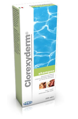 Icf clorexyderm shampoo 250 ml