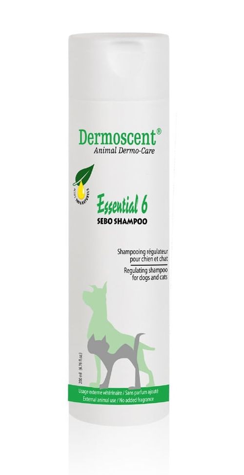 Dermoscent essential 6 sebo shampoo cane e gatto