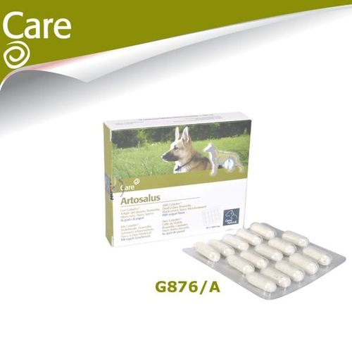 Camon orme naturali artosalus 60 compresse g876/a