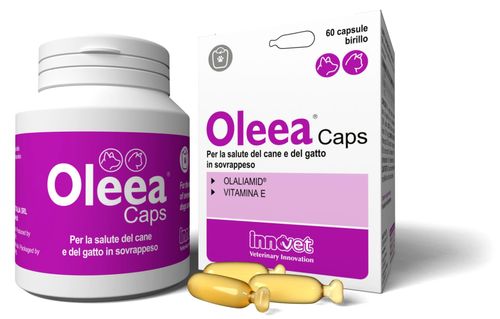 Innovet Oleea 60 caps
