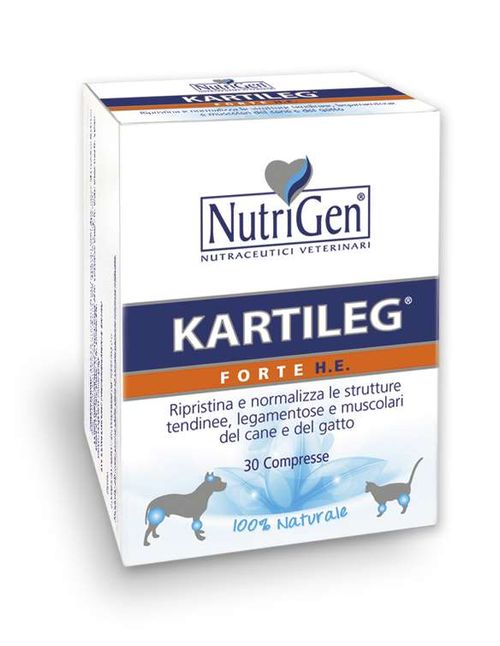 Nutrigen kartileg forte he 120 compresse 1000 mg