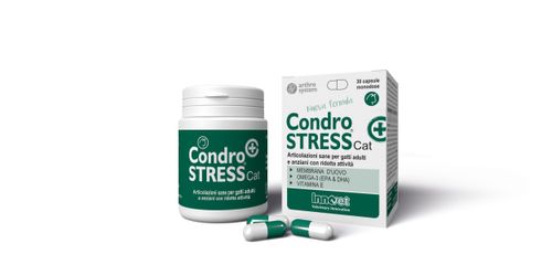 Innovet condrostress+ cat 30 capsule monodose
