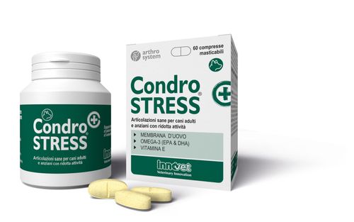 Innovet condrostress+ 60 compresse masticabili