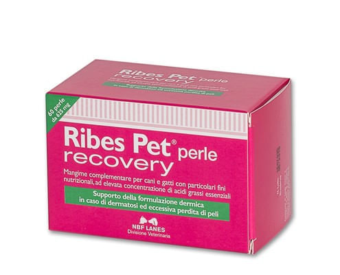 Nbf lanes ribes pet recovery 60 perle