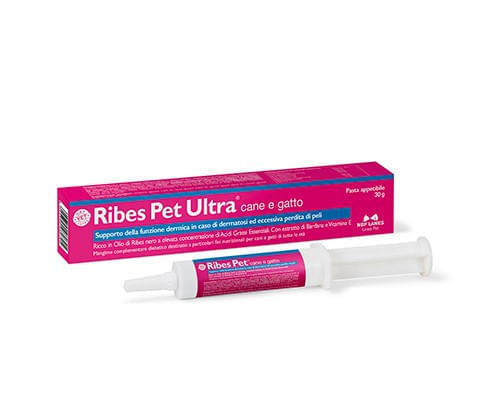 Nbf lanes ribes pet ultra pasta 30 gr