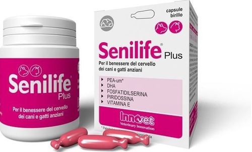 Innovet senilife plus 60 capsule birillo monodose