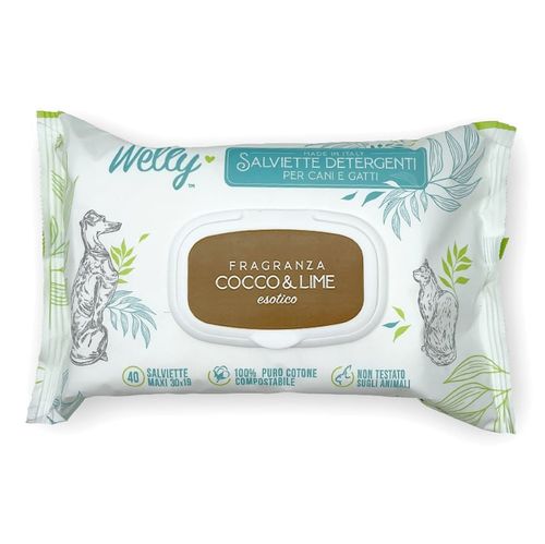 Welly salviette detergenti cocco e lime esotico 40 pz