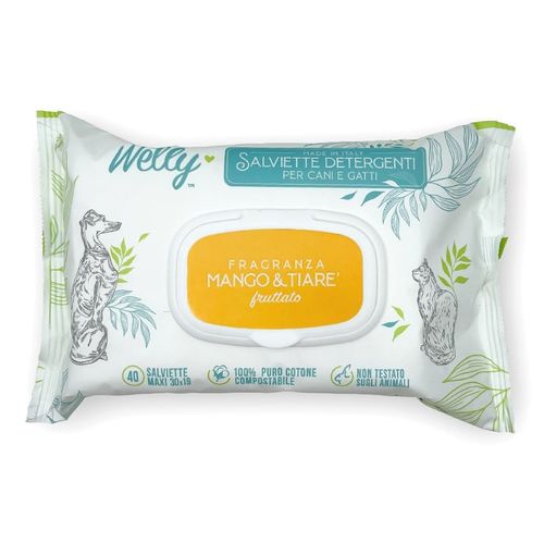 Welly salviette detergenti mango e tiarÃ¨ fruttato 40 pz