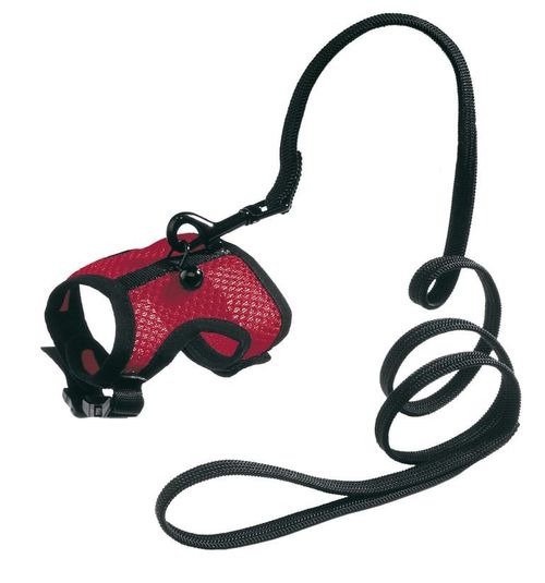 Ferplast Jogging small pettorina con guinzaglio