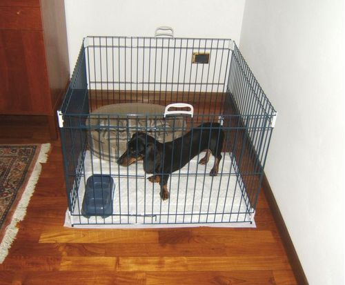 Ferplast Dog training nero recinto