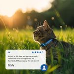 009-Testimonial