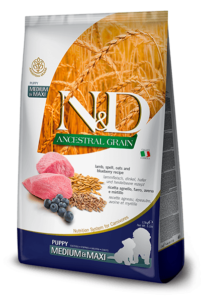 Farmina n&d ancestral grain cane puppy medio maxi farro avena agnello e mirtillo