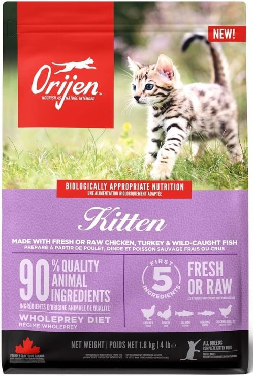 Orijen kitten