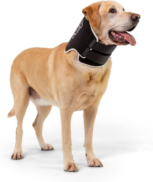 Balto neck black eco antileccamento