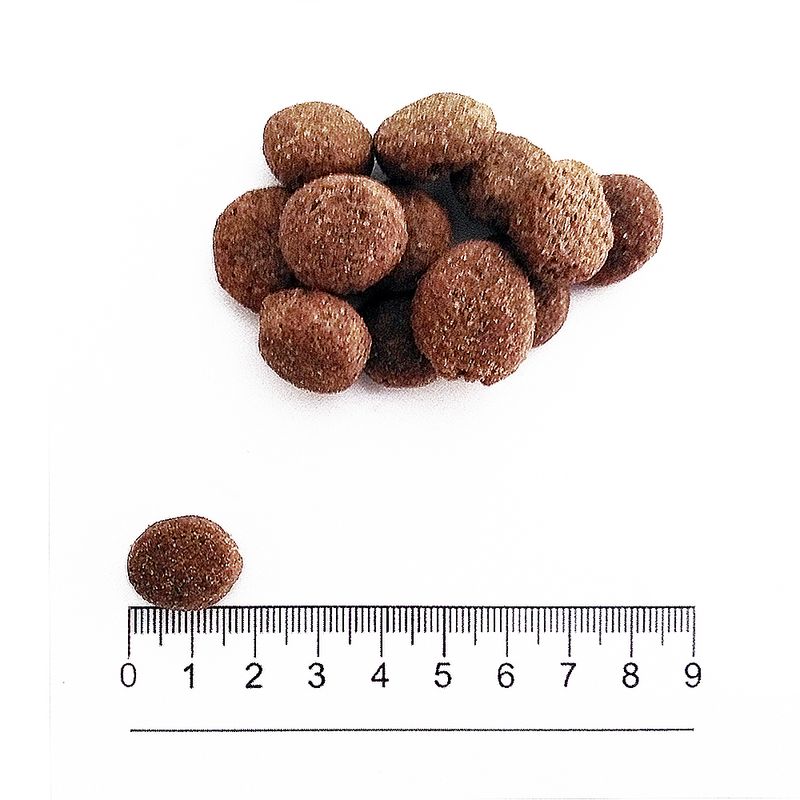 sterilised-pork-rice-medium-large2.jpg