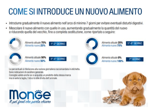 Monge cane fresh pate e bocconcini con tacchino